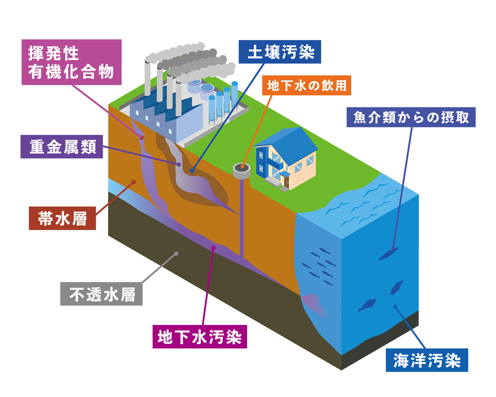 サービス内容